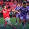 本菲卡2-2绝平跌至第三，葡体4-1神助攻，葡超积分榜更新：欧冠门票反转